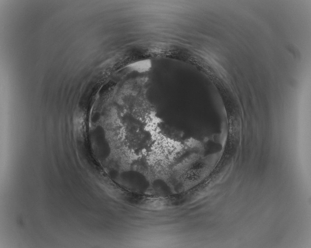 X0000113260127200909241530