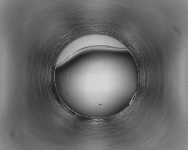 X0000113260128200909241530