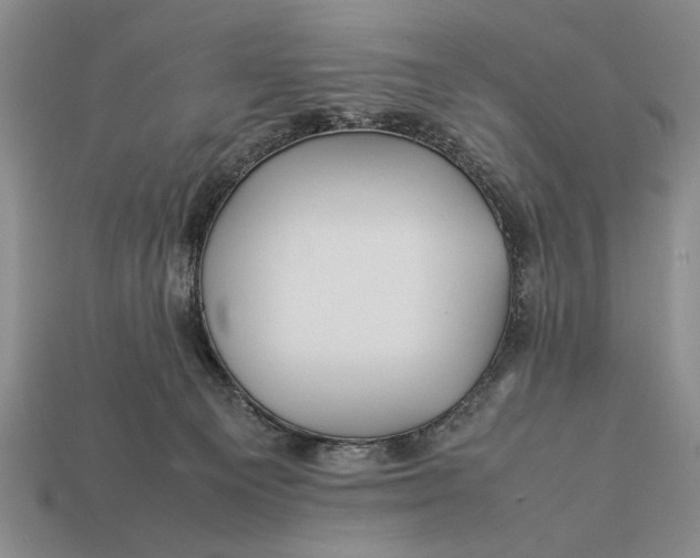 X0000113260129200909241530