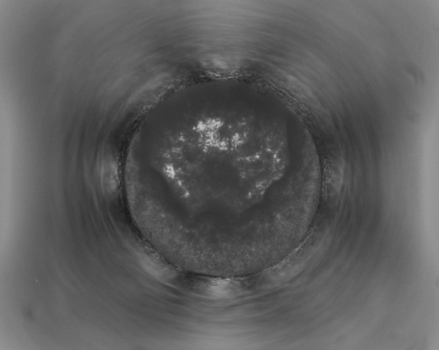 X0000113260130200909241530