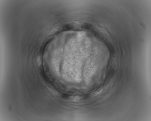 X0000113260131200909241530