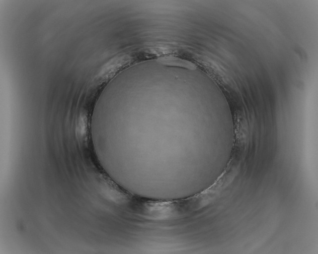 X0000113260132200909241530