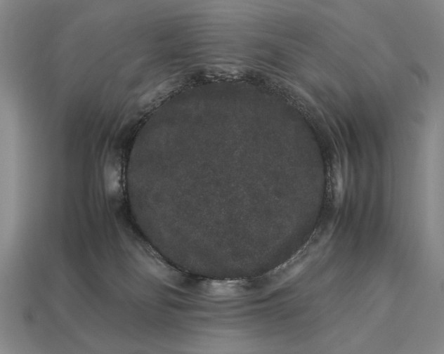 X0000113260134200909241530