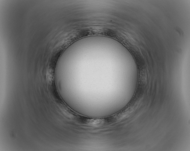 X0000113260135200909241530