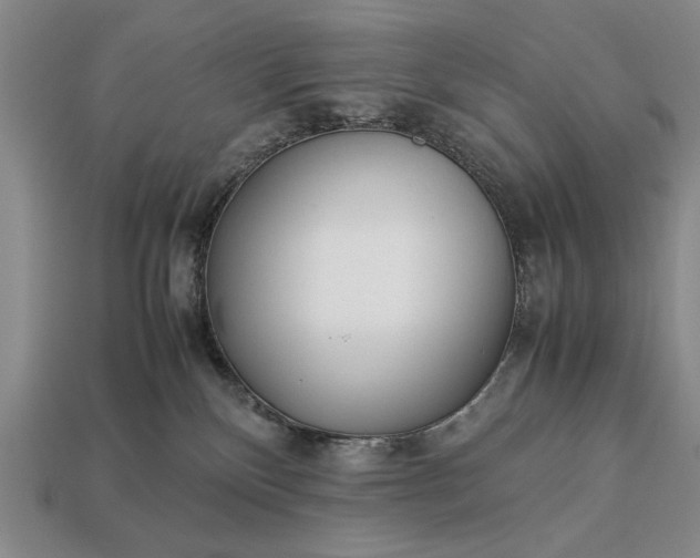 X0000113260136200909241530