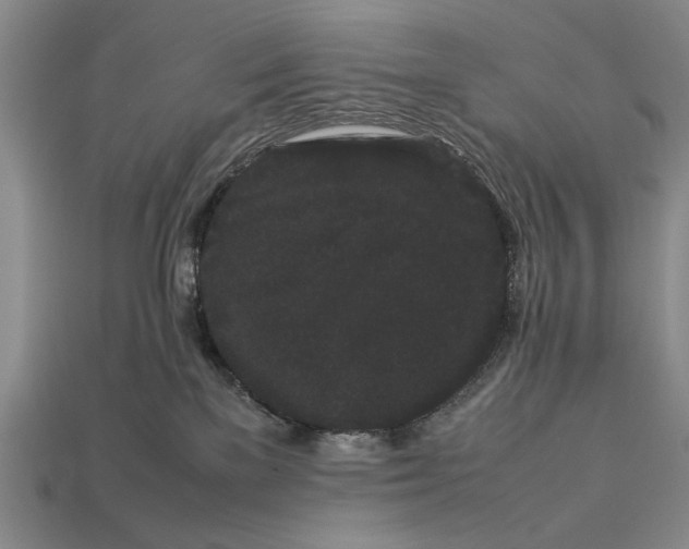 X0000113260137200909241530