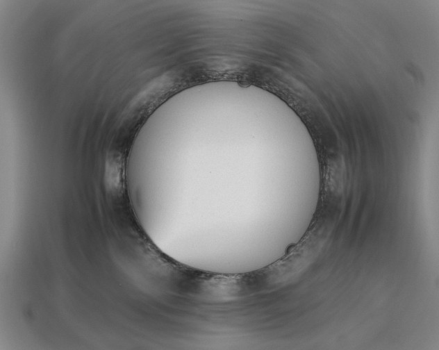 X0000113260138200909241530