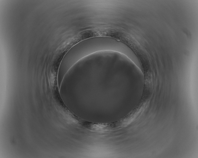 X0000113260139200909241530