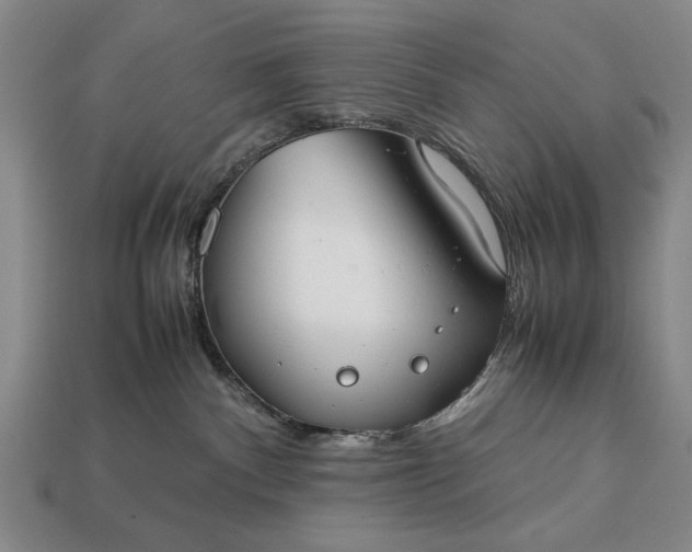 X0000113260140200909241530