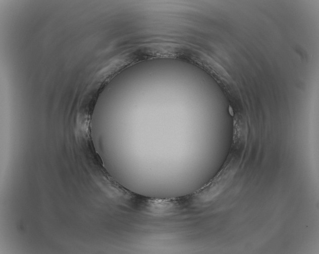 X0000113260141200909241530