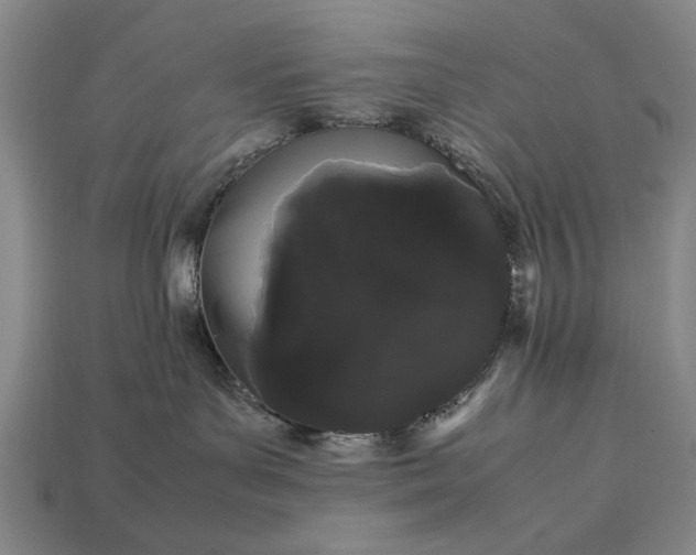 X0000113260143200909241530