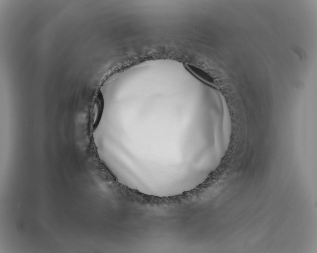 X0000113260144200909241530