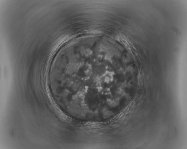 X0000113260145200909241529