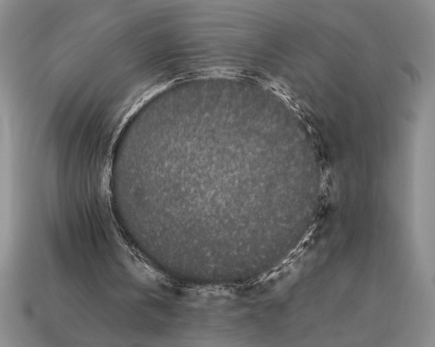 X0000113260146200909241529