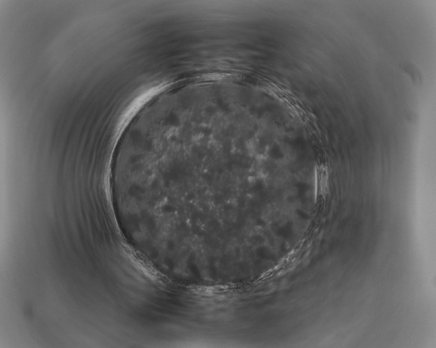 X0000113260147200909241529