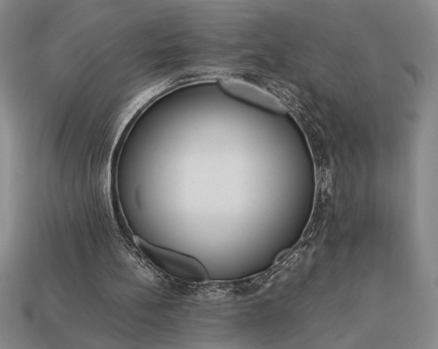 X0000113260148200909241529