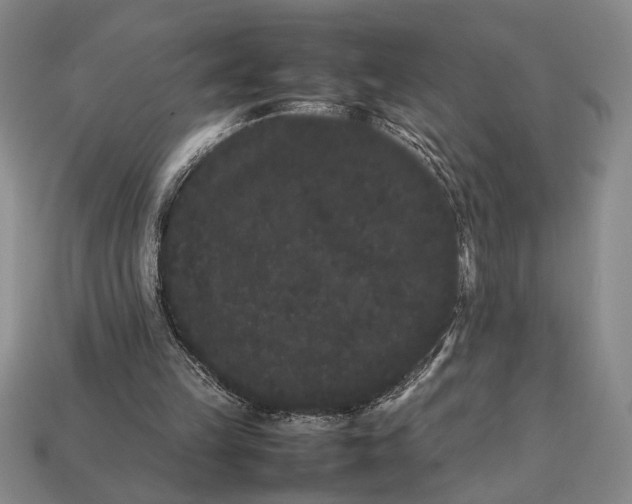 X0000113260149200909241529