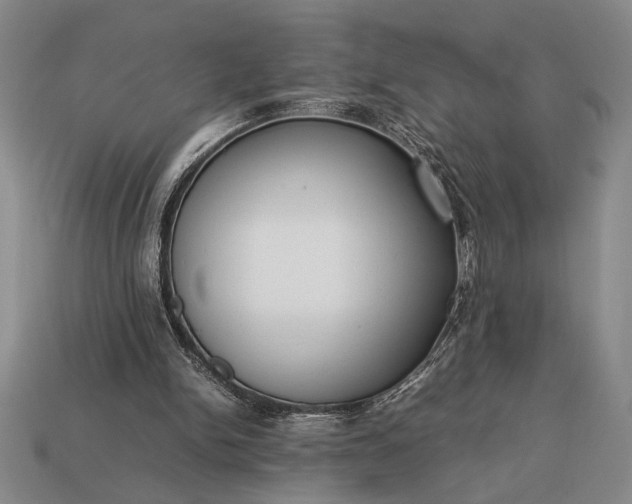 X0000113260150200909241529