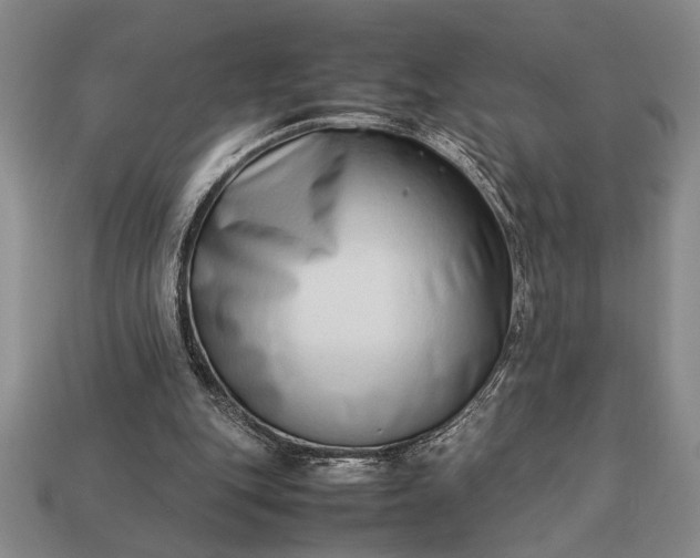 X0000113260151200909241529