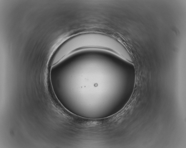 X0000113260152200909241529