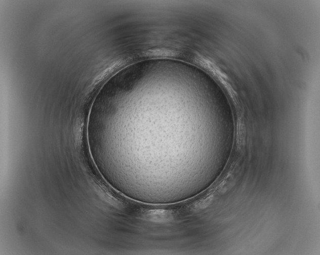 X0000113260153200909241529