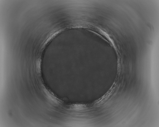 X0000113260154200909241529