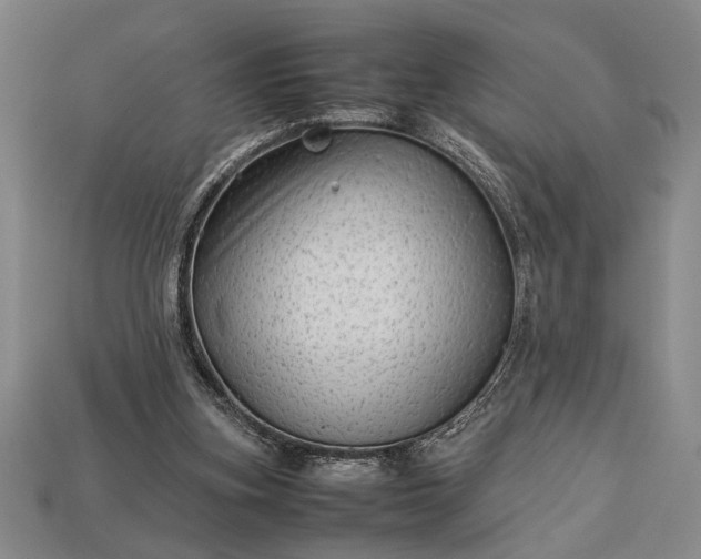 X0000113260155200909241529