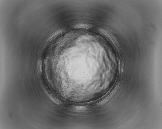 X0000113260157200909241529