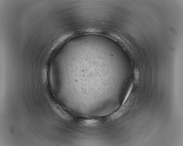 X0000113260158200909241529