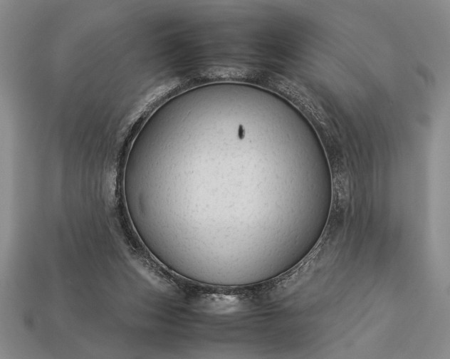 X0000113260159200909241529