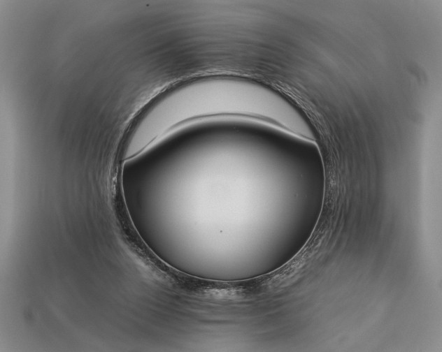 X0000113260160200909241529