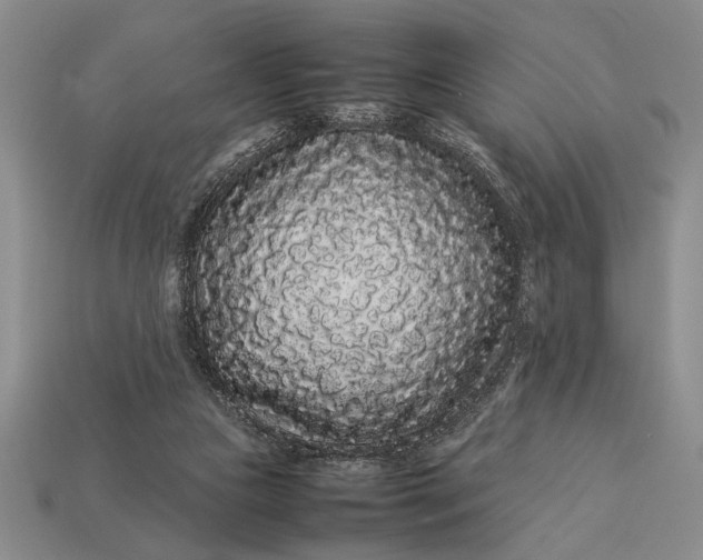 X0000113260161200909241529