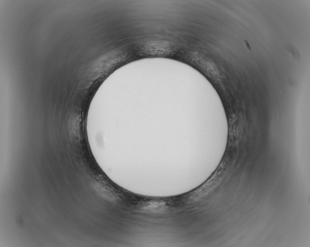 X0000113260162200909241530