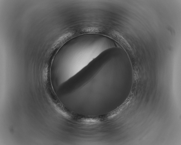 X0000113260163200909241530