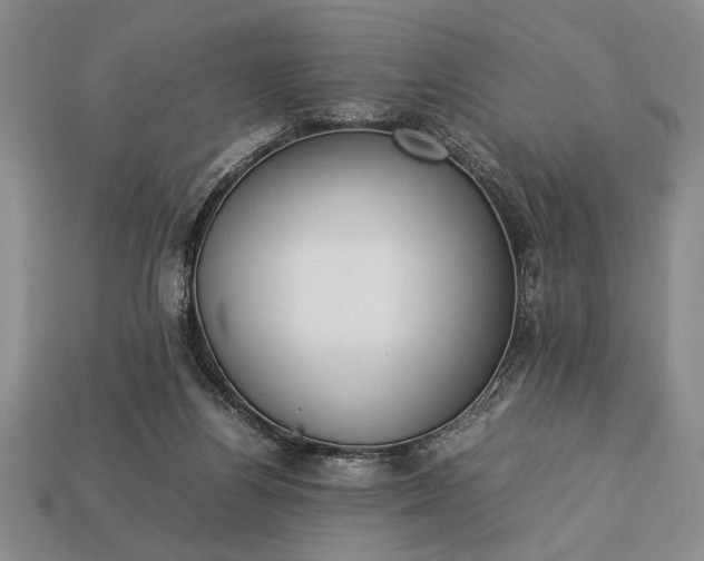 X0000113260164200909241530