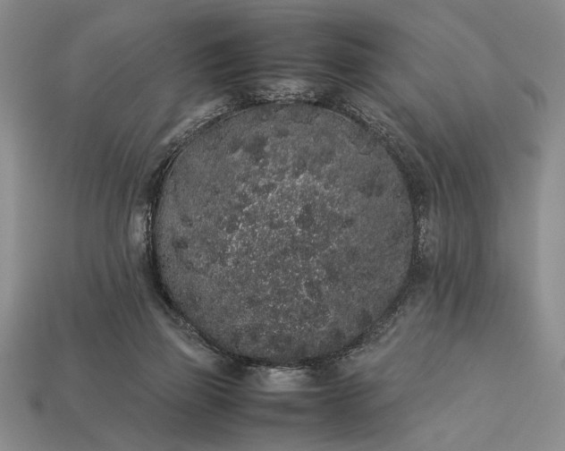 X0000113260165200909241530