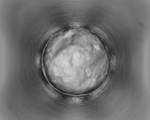 X0000113260166200909241530