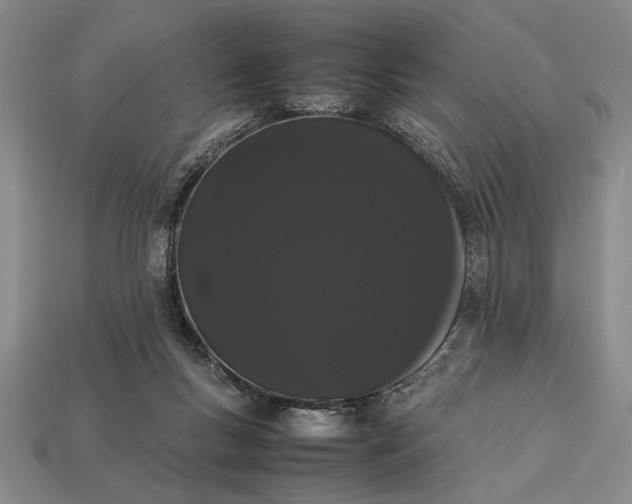 X0000113260167200909241530