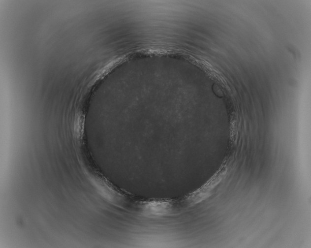 X0000113260168200909241530