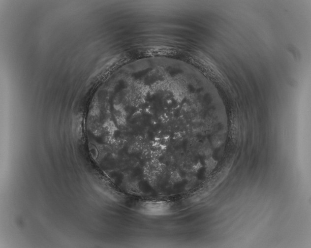 X0000113260169200909241530