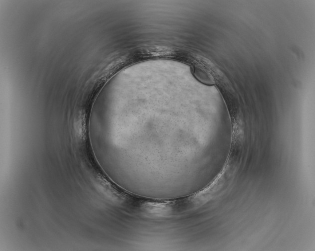 X0000113260170200909241530