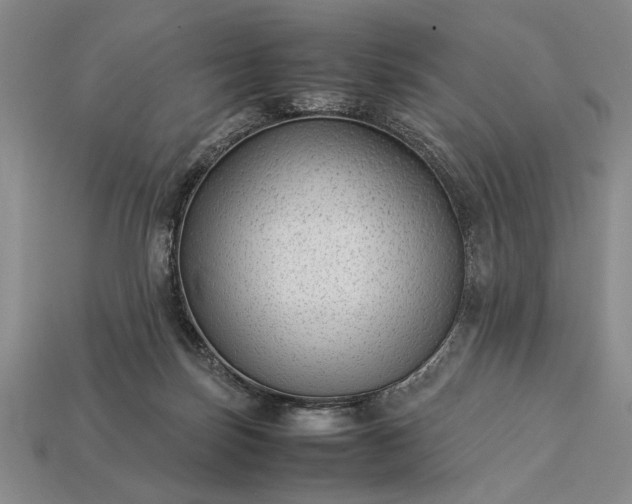 X0000113260171200909241530