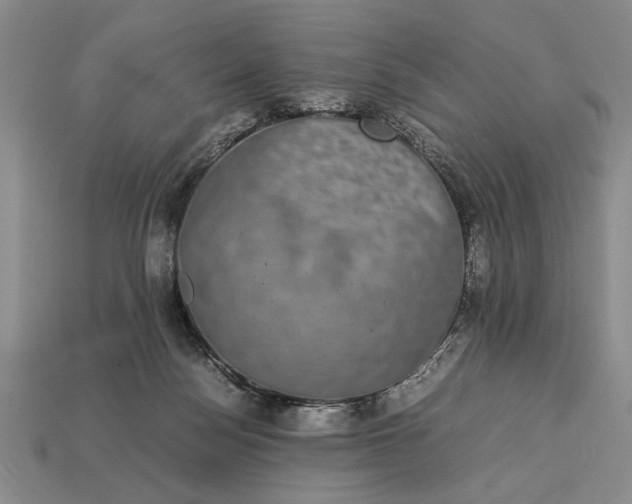 X0000113260172200909241530