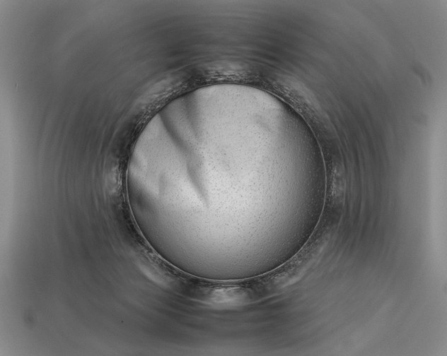 X0000113260173200909241530