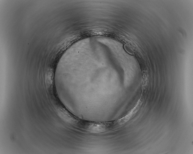 X0000113260174200909241530