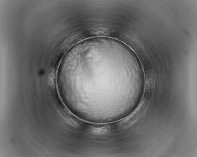 X0000113260175200909241530