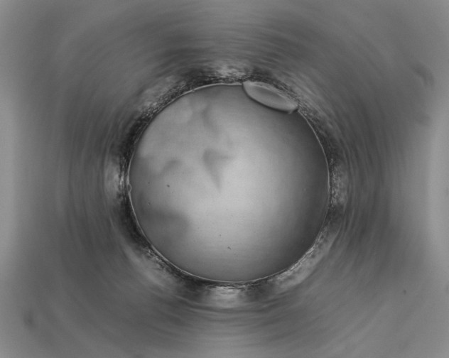 X0000113260176200909241530