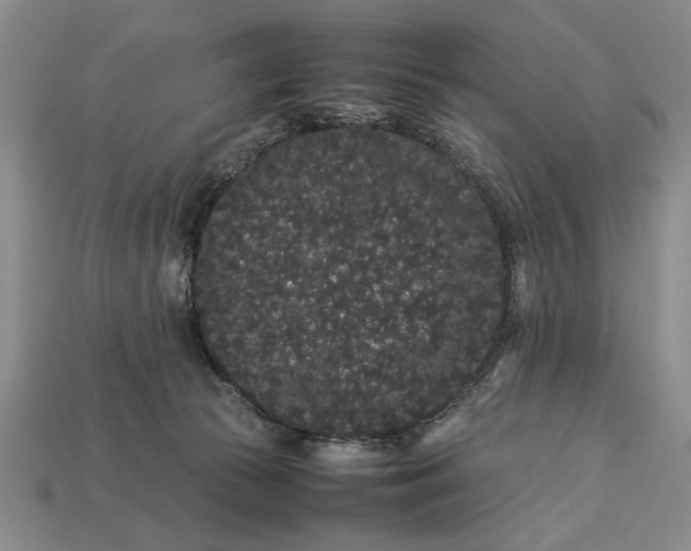 X0000113260177200909241530