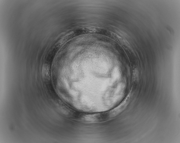 X0000113260178200909241530