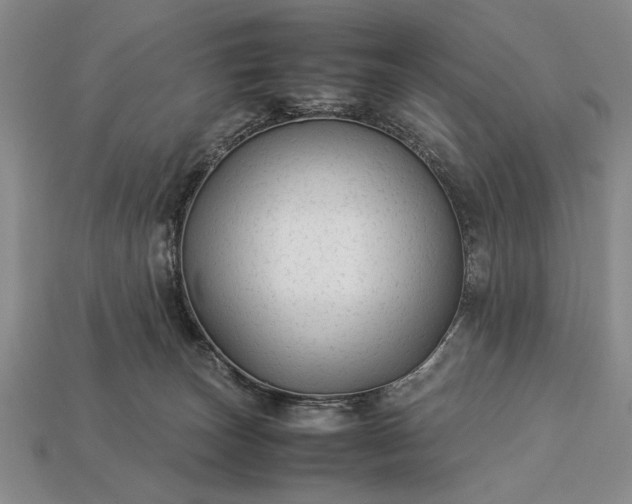 X0000113260179200909241530